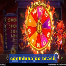 coelhinha do brasil