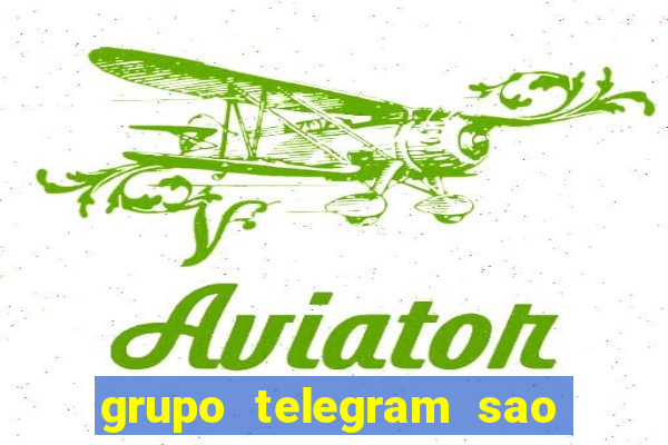 grupo telegram sao jose do rio preto