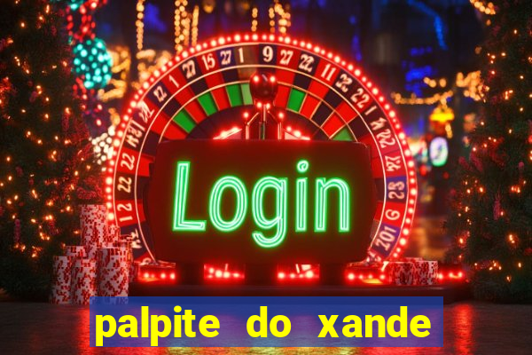 palpite do xande de hoje