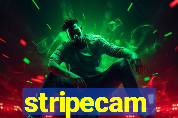 stripecam