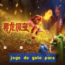 jogo do gato para ganhar dinheiro