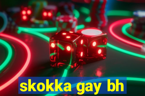 skokka gay bh