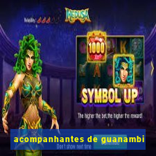 acompanhantes de guanambi