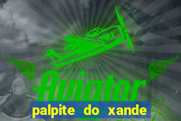 palpite do xande para hoje