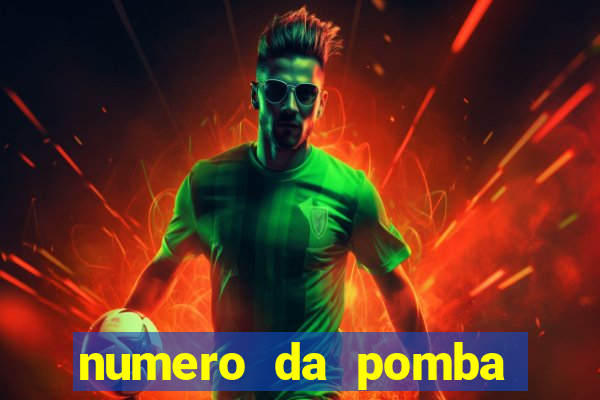 numero da pomba jogo do bicho