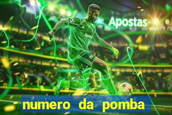 numero da pomba jogo do bicho