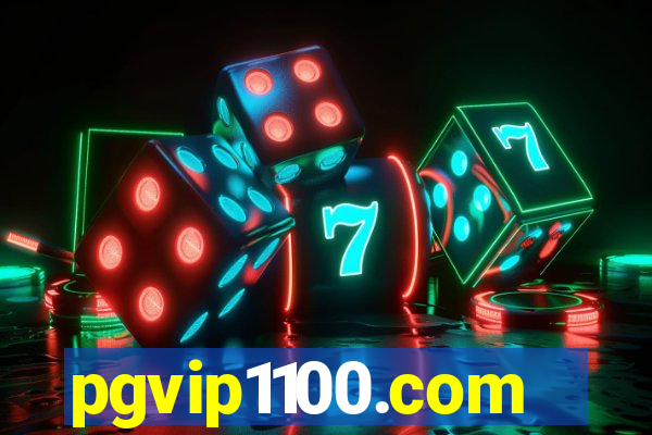 pgvip1100.com