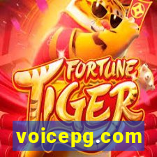 voicepg.com