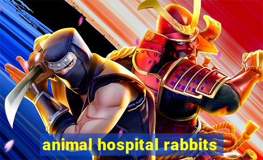 animal hospital rabbits