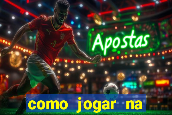 como jogar na seninha online