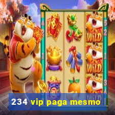 234 vip paga mesmo