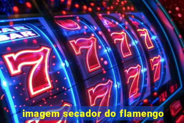 imagem secador do flamengo