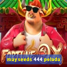 mayseeds 444 pelada