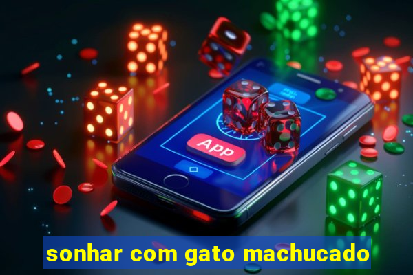 sonhar com gato machucado