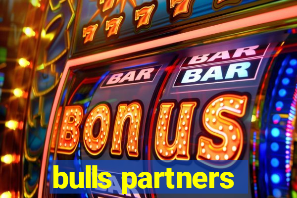 bulls partners