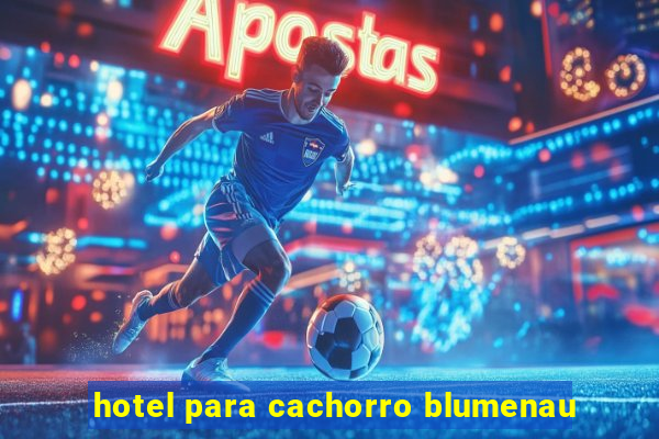 hotel para cachorro blumenau