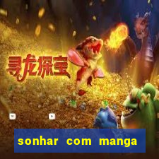 sonhar com manga no jogo do bicho