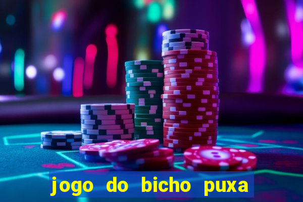 jogo do bicho puxa de dona maria