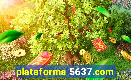 plataforma 5637.com