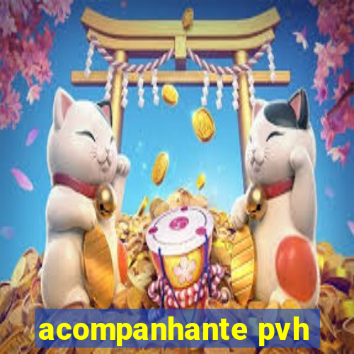 acompanhante pvh