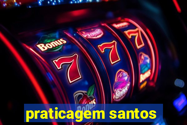 praticagem santos