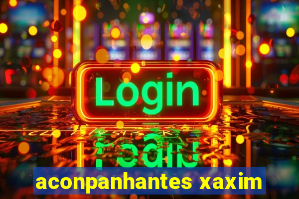 aconpanhantes xaxim