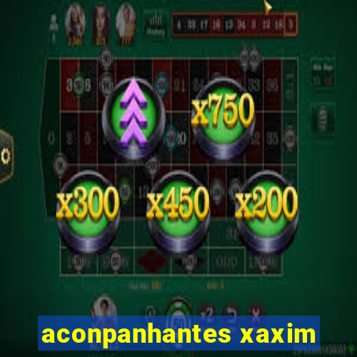 aconpanhantes xaxim