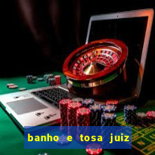 banho e tosa juiz de fora