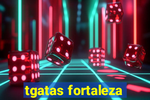 tgatas fortaleza