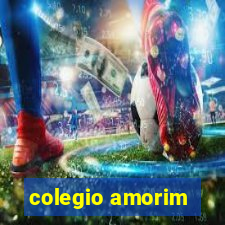 colegio amorim