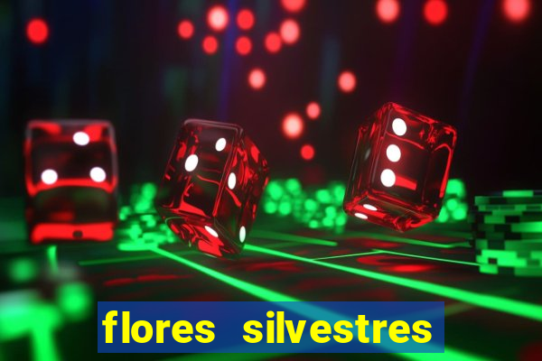 flores silvestres desbravadores desbravadores 25