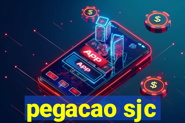 pegacao sjc