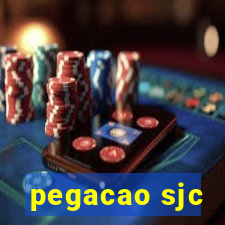 pegacao sjc