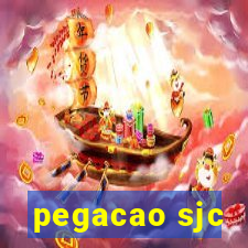 pegacao sjc