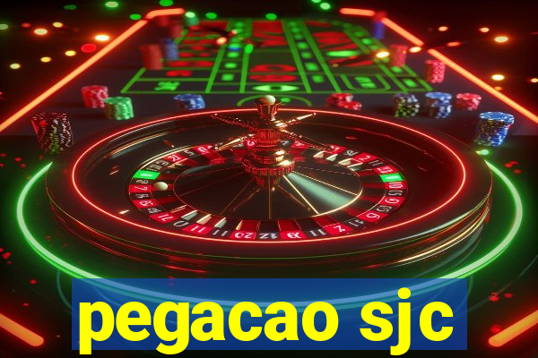 pegacao sjc