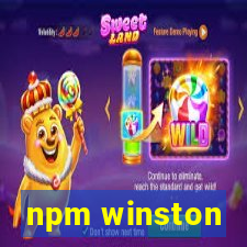 npm winston