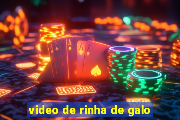 video de rinha de galo