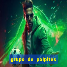 grupo de palpites de futebol telegram