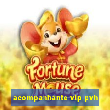 acompanhante vip pvh