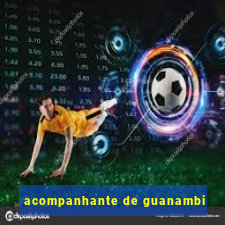 acompanhante de guanambi