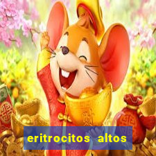 eritrocitos altos em gatos