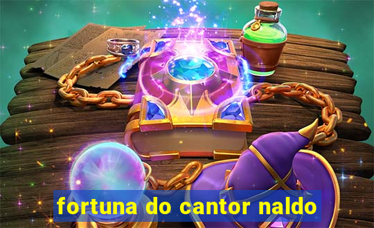 fortuna do cantor naldo