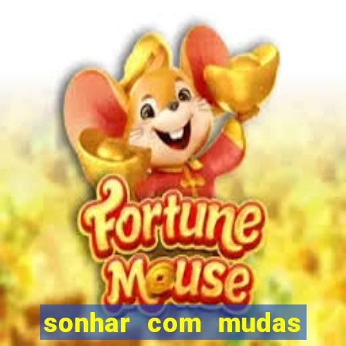 sonhar com mudas de plantas