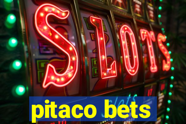 pitaco bets