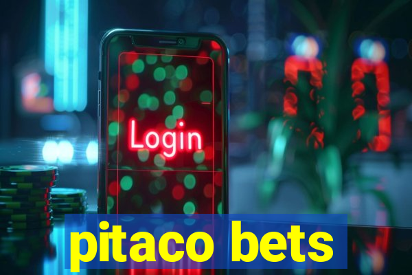 pitaco bets