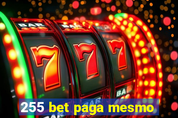 255 bet paga mesmo