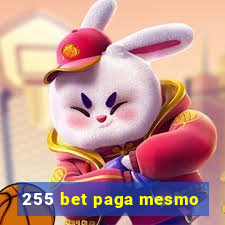 255 bet paga mesmo