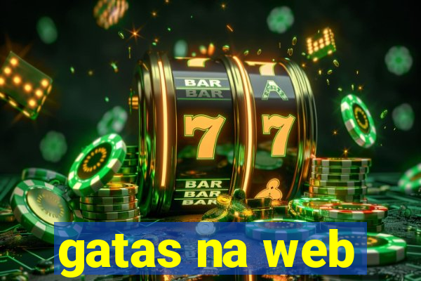 gatas na web