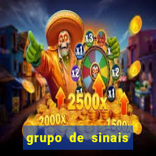 grupo de sinais fortune rabbit