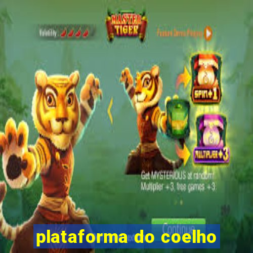 plataforma do coelho